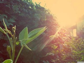 淺談管鏈輸送機的保養(yǎng)